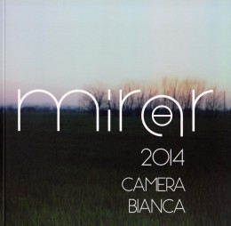Mirar, Copertina, Reggio Emilia, 2014